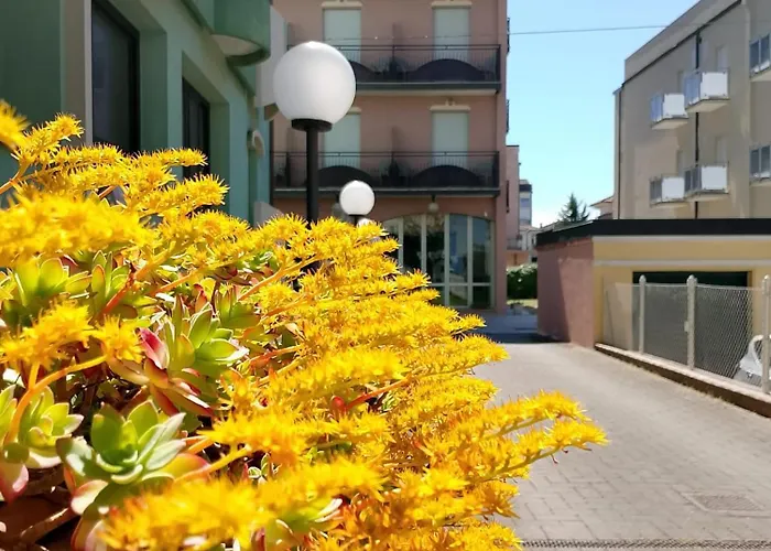 Hotel Anita B&B sul lungomare Gatteo