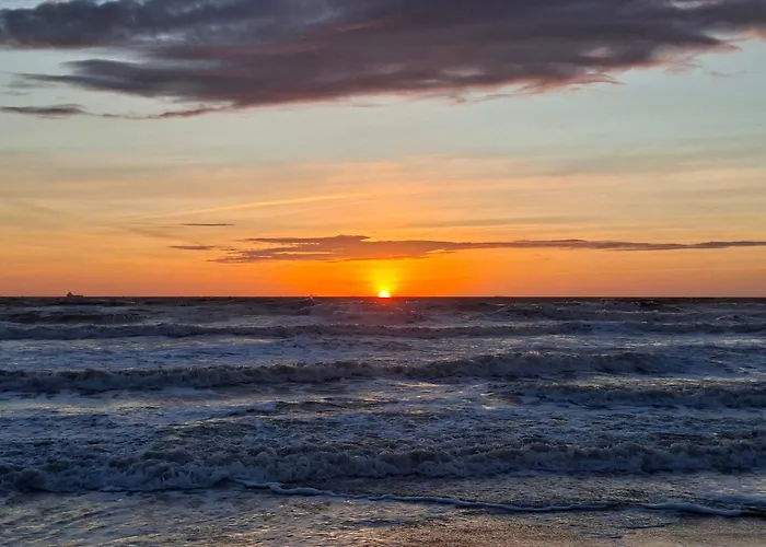 Soulsafari Aan Zee