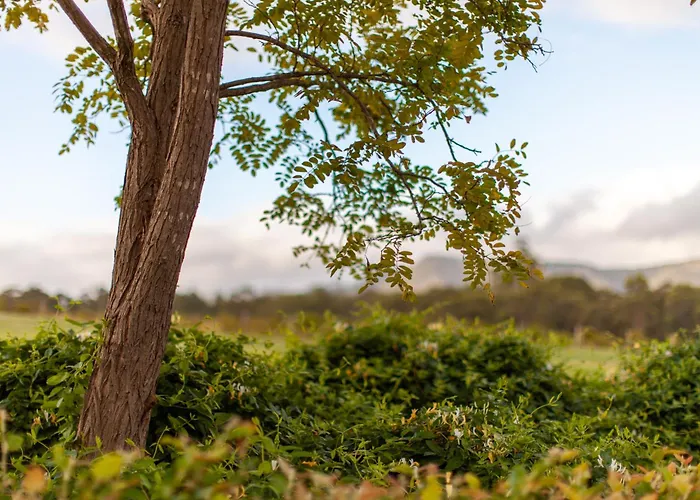 Harrigan'S Hunter Valley