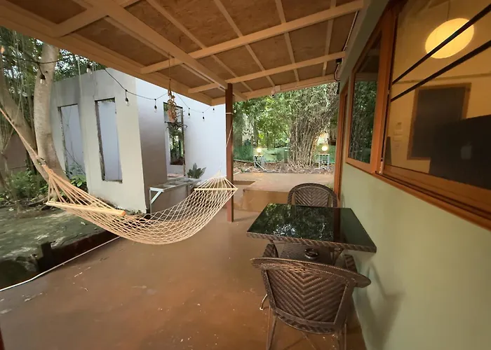 Beach Jungle