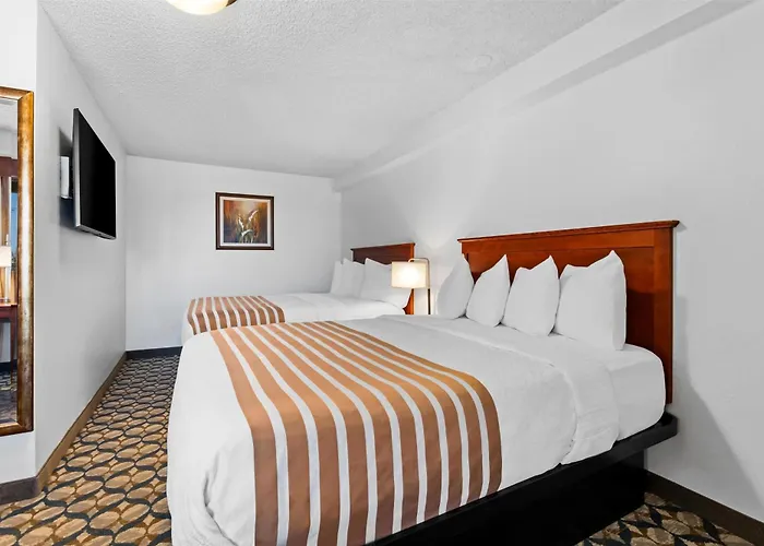 Best Western Vista Inn At The Airport