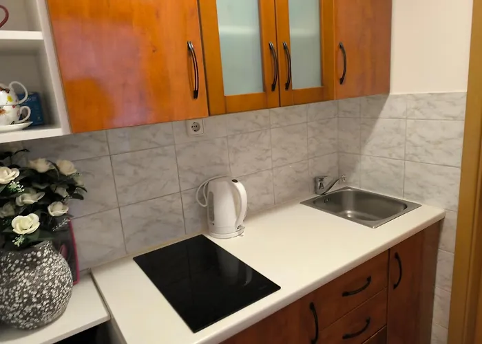 Apartments Anita