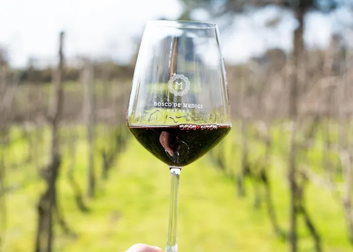 Resort & Winery Bosco De Medici