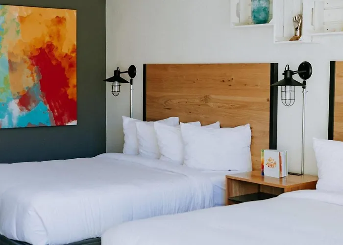 Scp Wildfree Colorado Springs, Trademark By Wyndham
