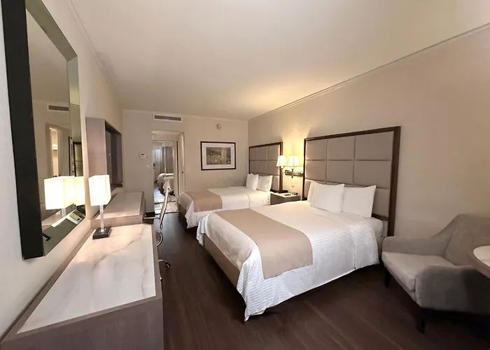 Safi Royal Luxury Centro