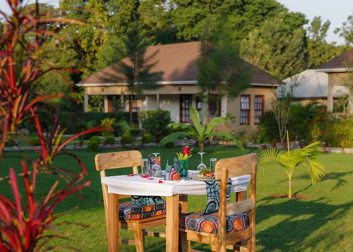 Tanzania Safari Lodge