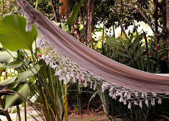 Flor De Biriba Trancoso