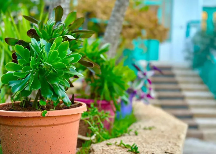 Taybeh Guest House البيت الشادي