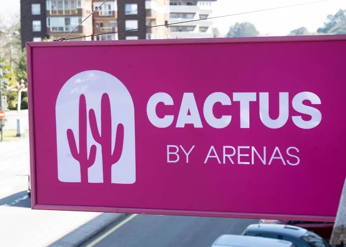 Cactus By Arenas