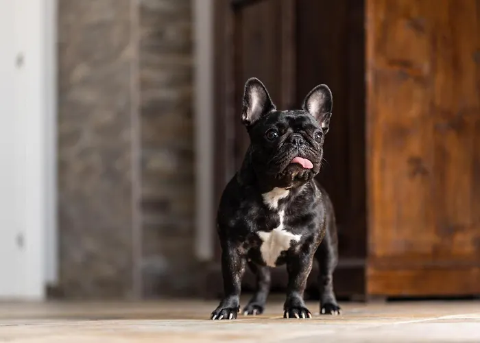 I Briganti - Hotel & Residence Pet Friendly - Capalbio