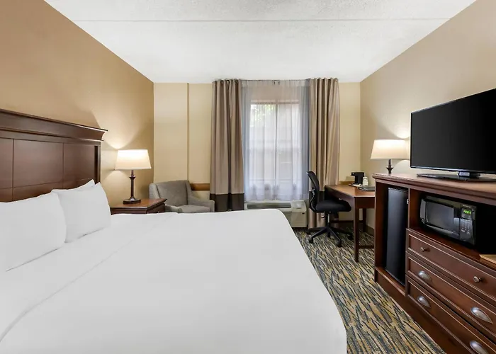 Comfort Inn&Suites Branson Meadows