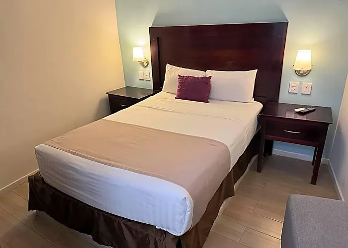 Hotel Arribo