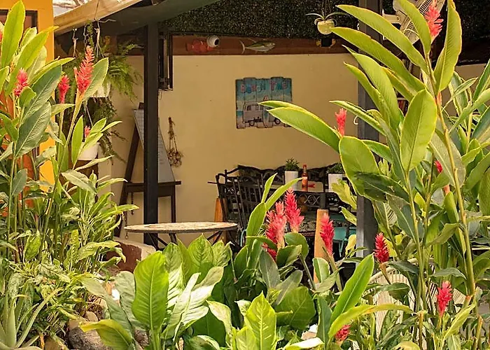 Lauras House