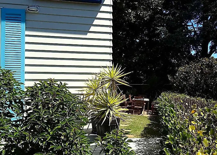 Amori Lodge Bed & Breakfast