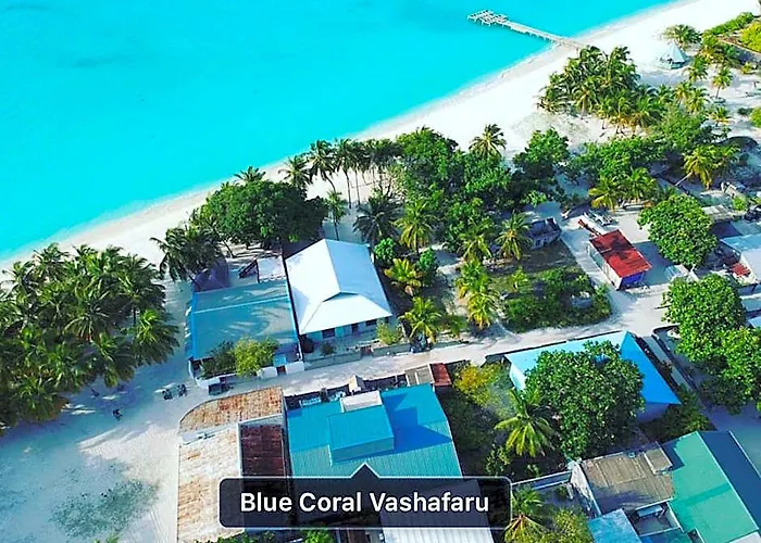 Blue Coral Vashafaru Maldives