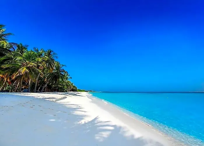 Blue Coral Vashafaru Maldives