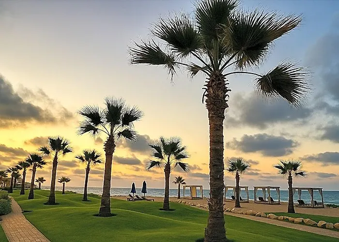 Port Said Tourist Resort 6