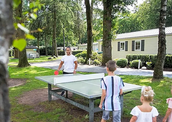 Comfortable Holiday Home On De Veluwe