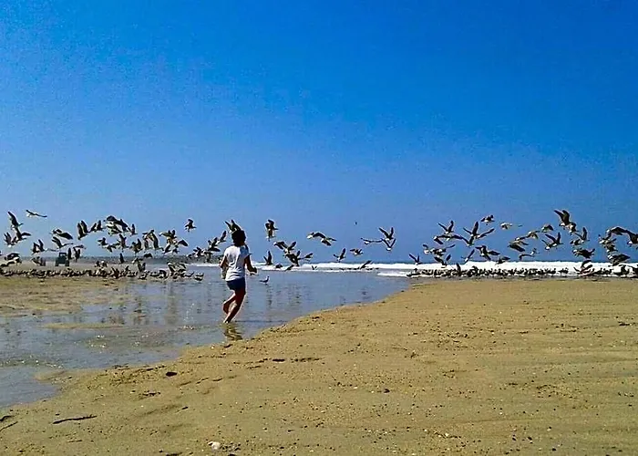 Greenside Of Sea