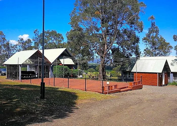 Vineyard Hill
