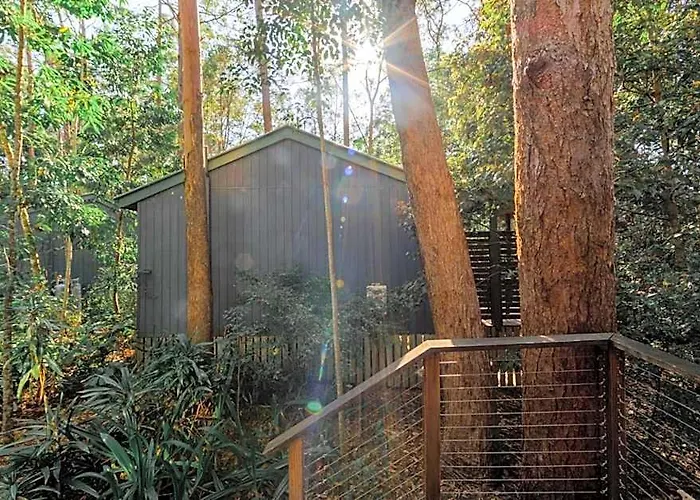 Amore On Buderim Rainforest Cabins