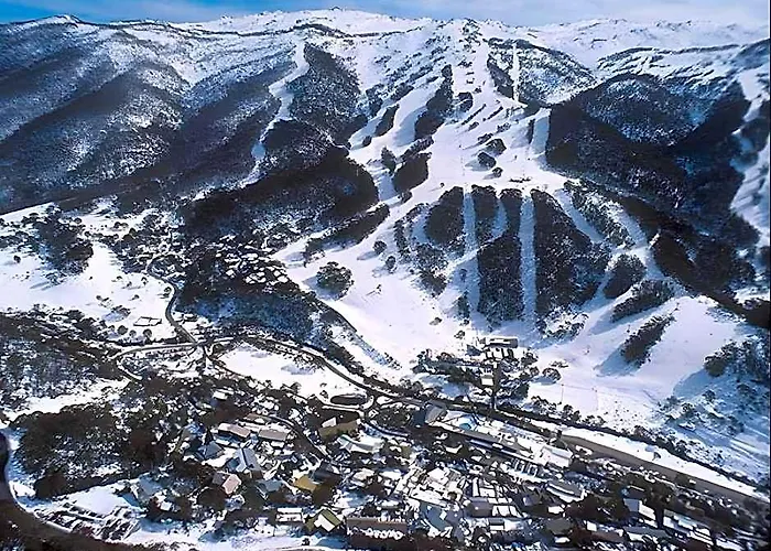 Cedar Haven