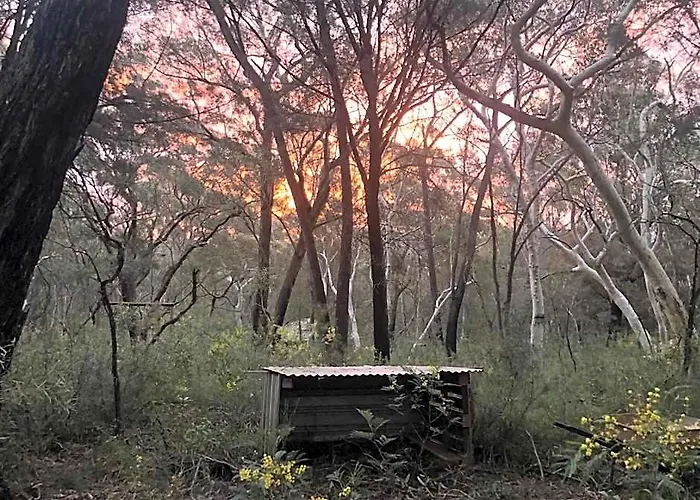 Twin Falls Bush Cottages