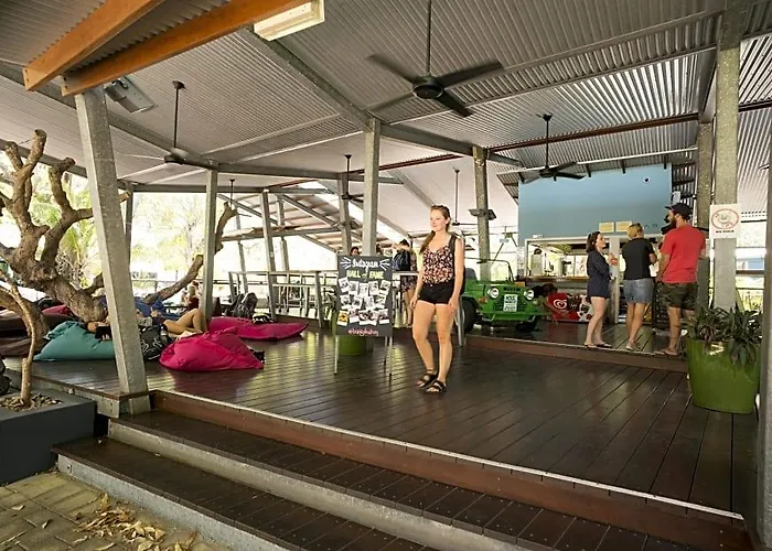 Koala Park By Bounce