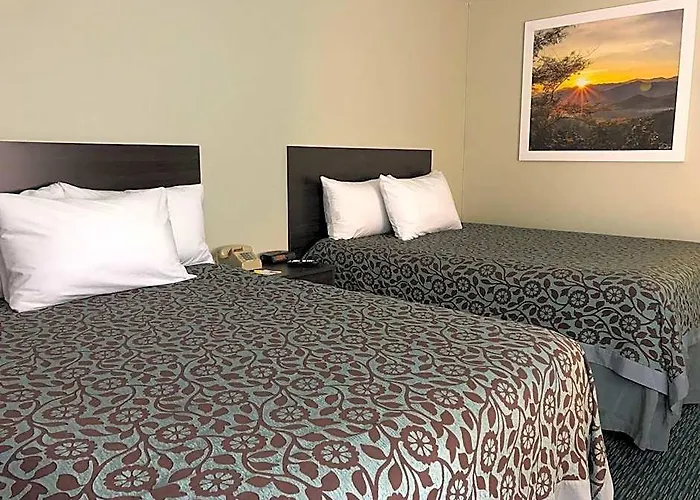 Elevation Lodge