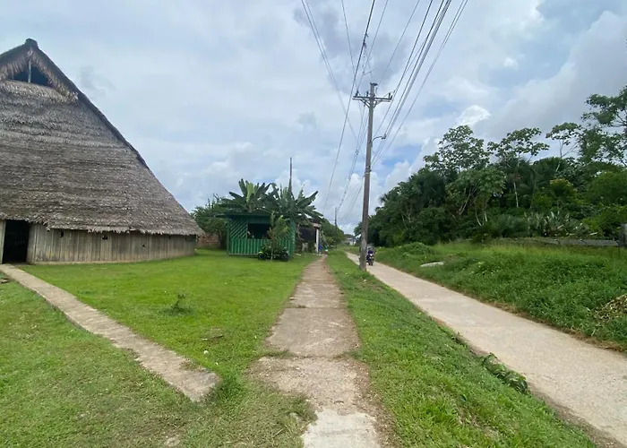 Amazonas Magic