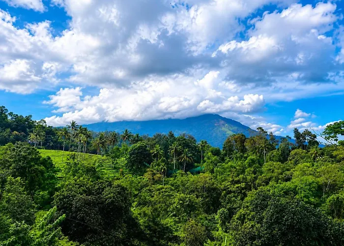 Uforia Munnar