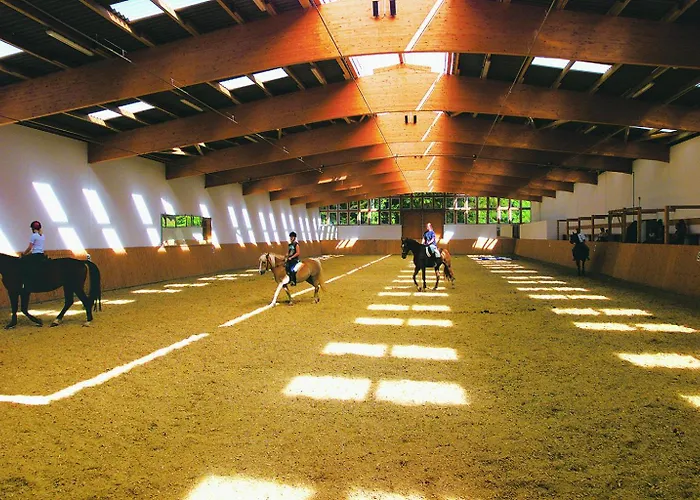 Hof Springhorn