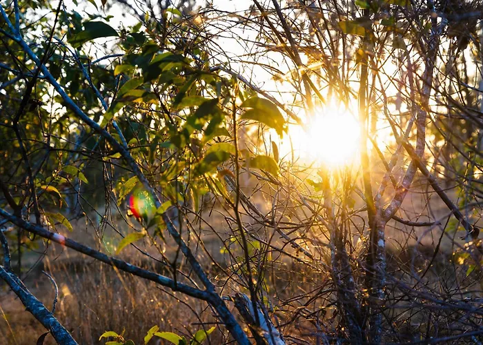 Hidden Valley Cabins & Tours