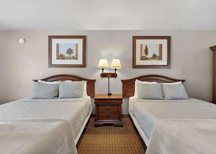 Eagle Motel Suite 117