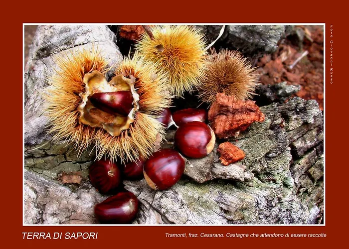 Hotel Pensione Reale