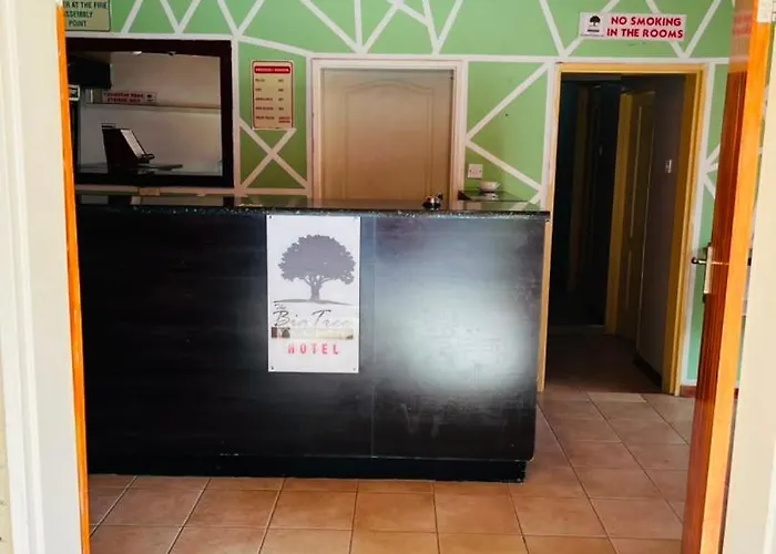 Big Tree Valley Hotel