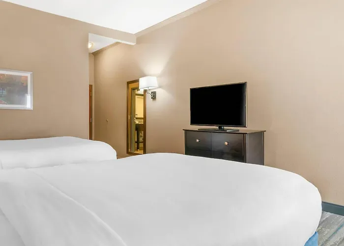 Comfort Inn&Suites Toledo North
