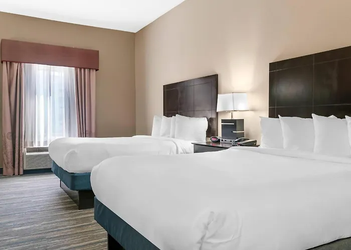 Comfort Inn&Suites Toledo North