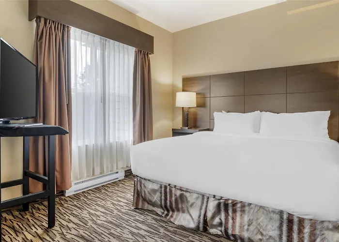 Best Western Plus Bridgewater Hotel & Convention Centre