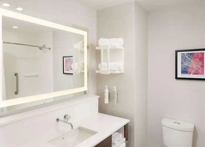 Hampton Inn & Suites Rochester Downtown