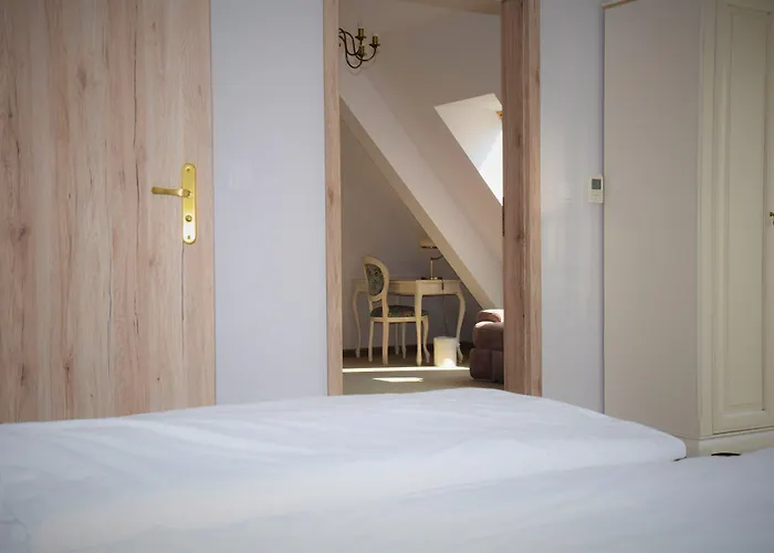 Hotel Paryski Art & Business Zakopane - Basen Jacuzzi Sauna Malpi Gaj