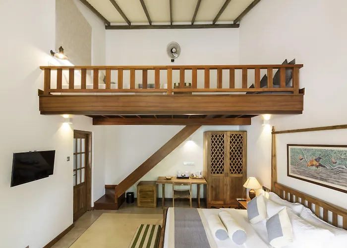 Bilin Tree House