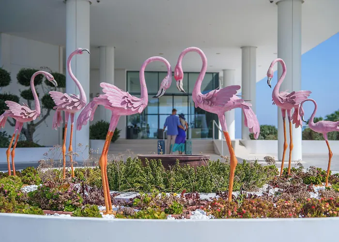 Flamingo Paradise Beach Hotel - Adults Only