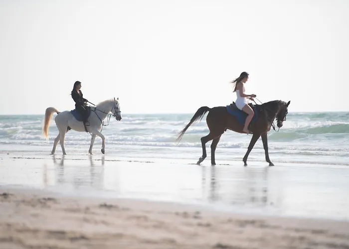 Umm Al Quwain Beach Hotel