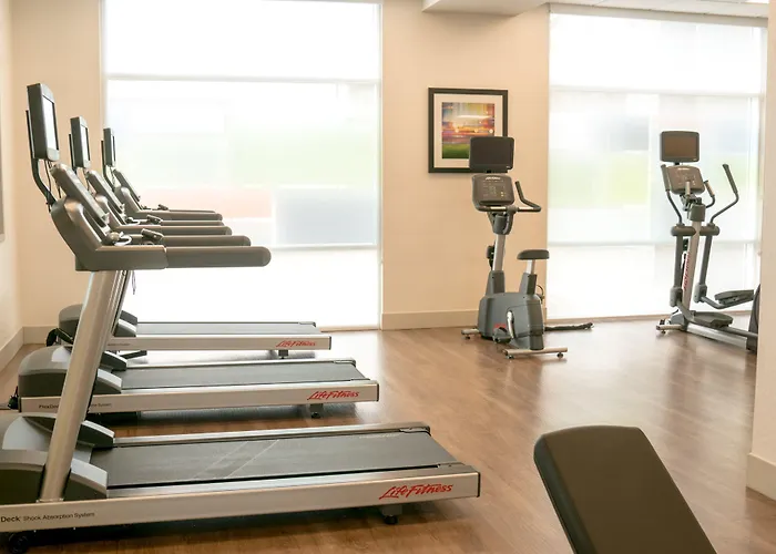 Holiday Inn Express & Suites - Brandon By Ihg