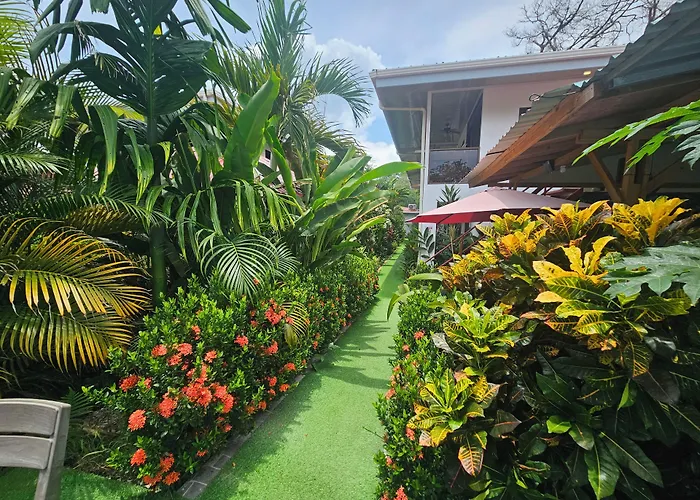 Ballena Rey Hotel