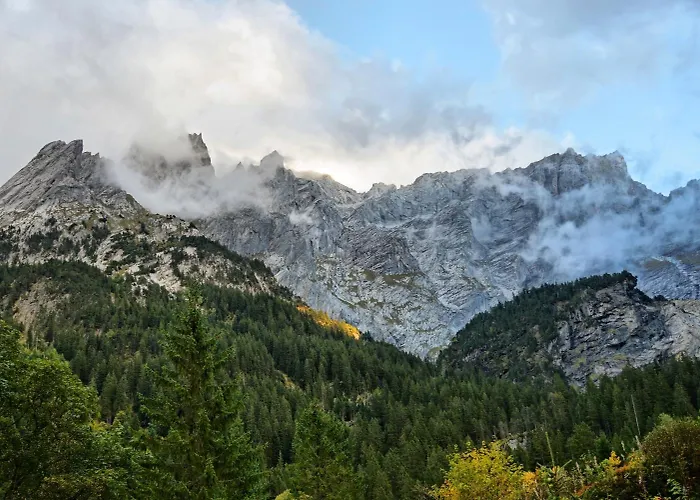 Alpenrose