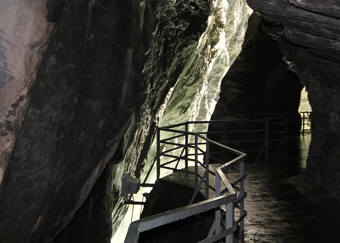 Alpenrose