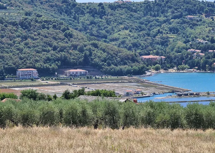 Hotel Lavender - Oleander Resort