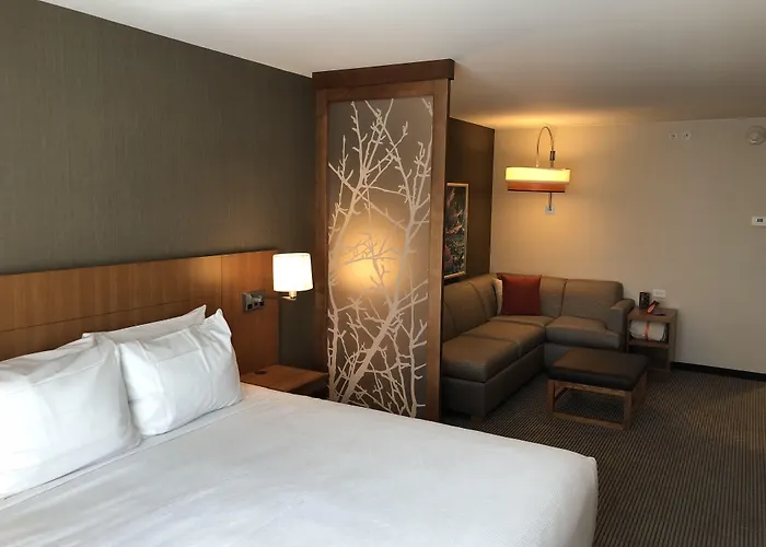 Hyatt Place St George/Convention Center